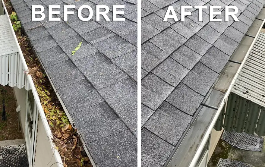 Gutter cleaning services - Before and after